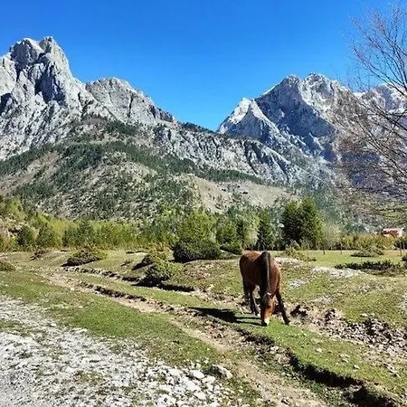 Bujtina Arlindi Bed & Breakfast Valbone