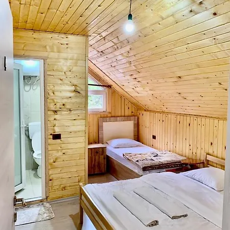 Bed & Breakfast Bujtina Arlindi