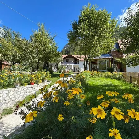 Nocleg ze śniadaniem Bujtina Arlindi