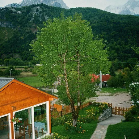 Bujtina Arlindi *