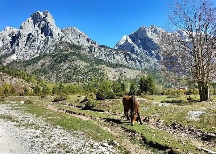 Bujtina Arlindi Bed & Breakfast Valbone