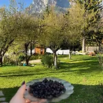 Bujtina Arlindi Βαλμπόνα