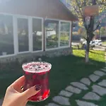 Bed and Breakfast Bujtina Arlindi *