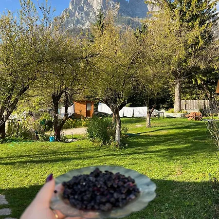 Bujtina Arlindi فالبني