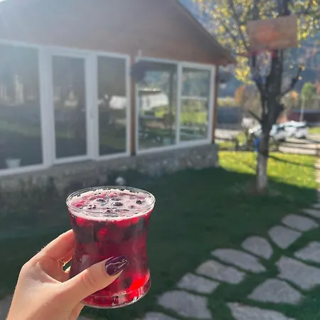 فندق مبيت وإفطار Bujtina Arlindi *