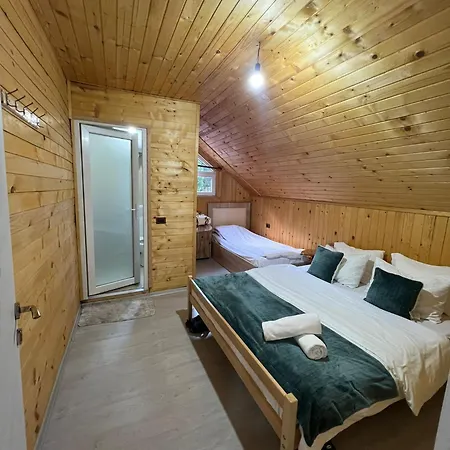 Bujtina Arlindi فالبني