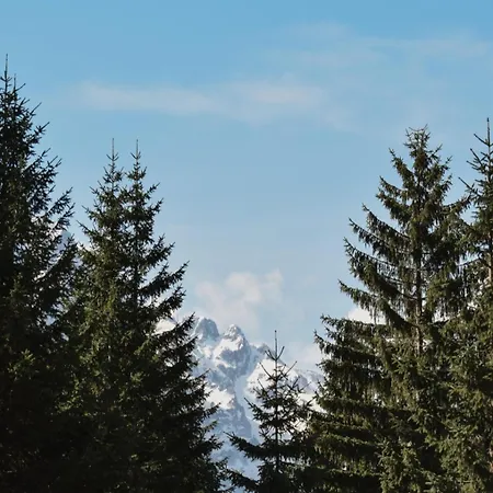 Bujtina Arlindi فندق مبيت وإفطار فالبني