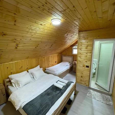 Bujtina Arlindi * فالبني