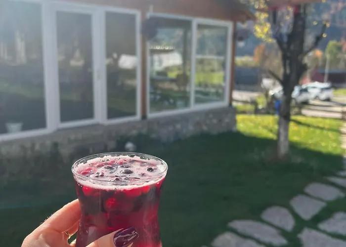 住宿加早餐酒店 Bujtina Arlindi *
